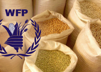 Naciones Unidas advierte que coronavirus generaría hambruna