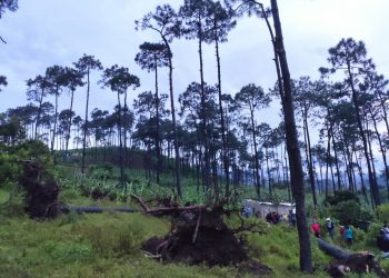 Conred asiste a los afectados por lluvia en Alta Verapaz, Chimaltenango, Petén y Quiché