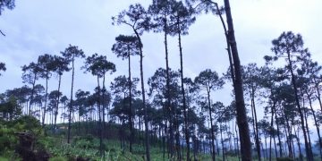 Conred asiste a los afectados por lluvia en Alta Verapaz, Chimaltenango, Petén y Quiché