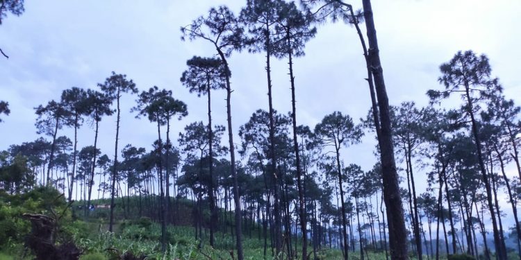 Conred asiste a los afectados por lluvia en Alta Verapaz, Chimaltenango, Petén y Quiché