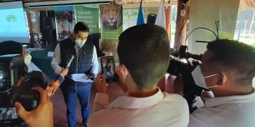 Animales silvestres serán liberados en Petén