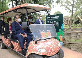 Zoológico La Aurora abre sus puertas para la recreación de los guatemaltecos