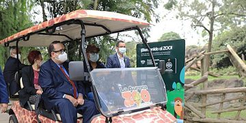 Zoológico La Aurora abre sus puertas para la recreación de los guatemaltecos