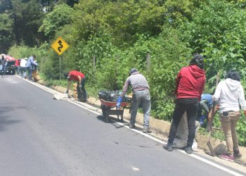 Ambiente promueve jornadas de limpieza y reforestación
