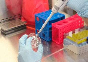 Coronavirus pruebas 2