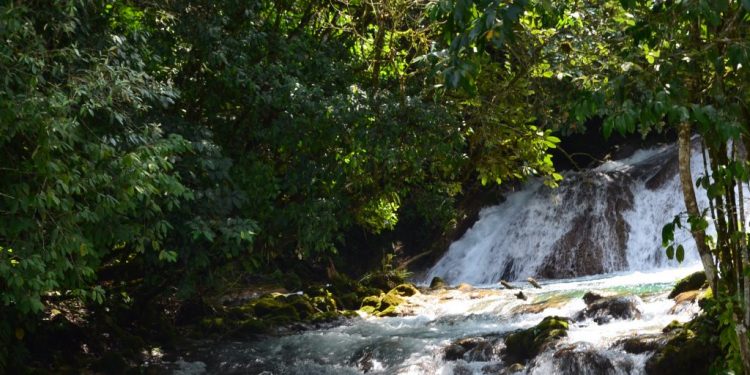 Guatemala conmemora el Día Mundial de los Ríos