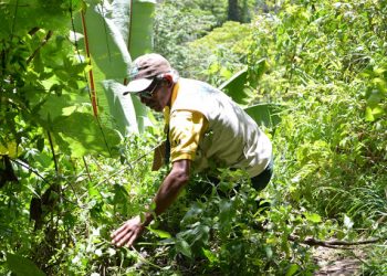 GUARDA RECURSOS CONAP