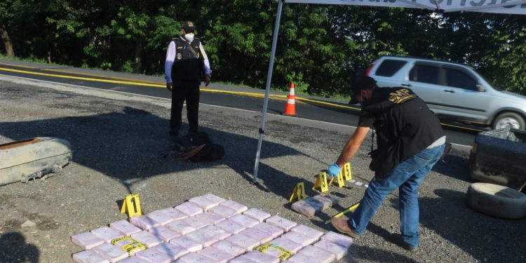 Agente canino Budy descubre droga oculta dentro de vehículo en Izabal