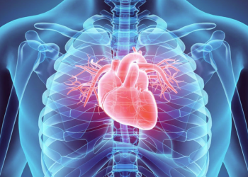 Conozca 10 consejos para prevenir enfermedades del corazón