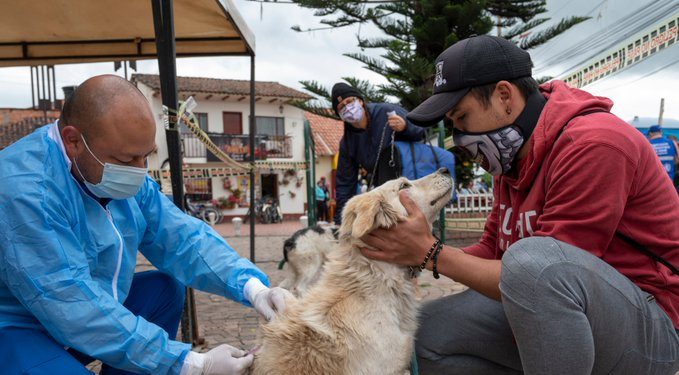 Vacunación canina