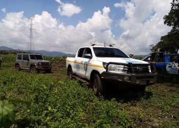 Ambiente reafirma su compromiso contra la tala ilegal de árboles