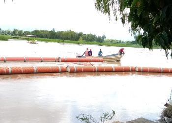 Ambiente rehabilita barda en el río Motagua