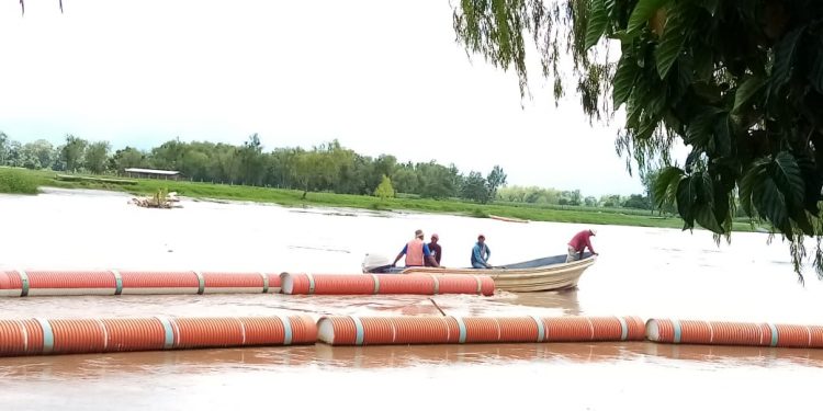Ambiente rehabilita barda en el río Motagua