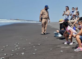 Acciones del Ejército de Guatemala promueven la conservación de la tortuga marina