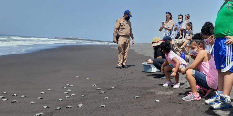 Acciones del Ejército de Guatemala promueven la conservación de la tortuga marina