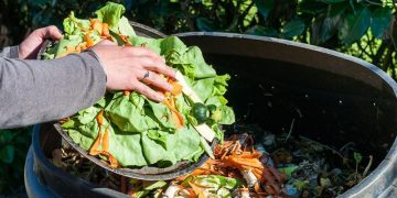 Desperdicio alimenticio