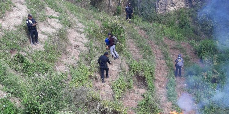 Policía Nacional Civil erradica 3 mil 200 matas de marihuana en Totonicapán