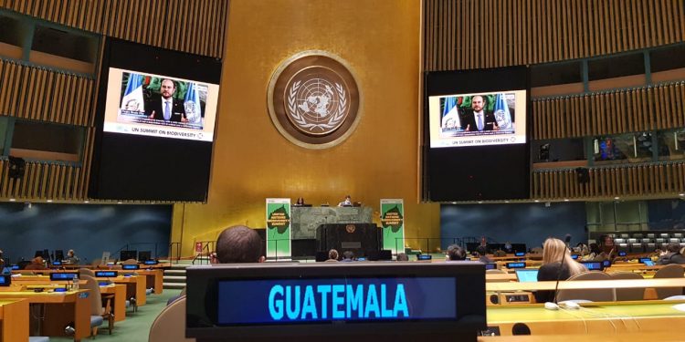 Canciller Pedro Brolo destaca conservación en cumbre de biodiversidad de las Naciones Unidas