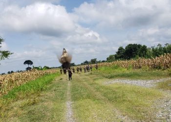 Inhabilitan pista de aterrizaje clandestina en Alta Verapaz