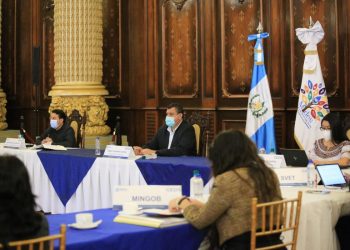 Vicepresidente, mesa temática