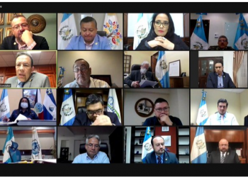 Primera reunión virtual