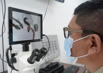 Laboratorio Regional Entomológico es fortalecido./Foto: MSPAS