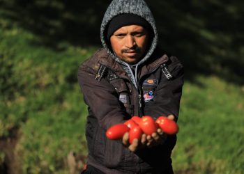 Gobierno impulsa economía de pequeños productores de San Marcos