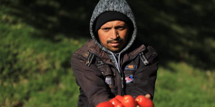 Gobierno impulsa economía de pequeños productores de San Marcos