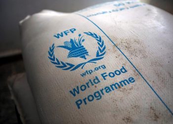 WFP