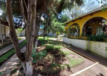 Habilitarán cinco residencias para protección de menores