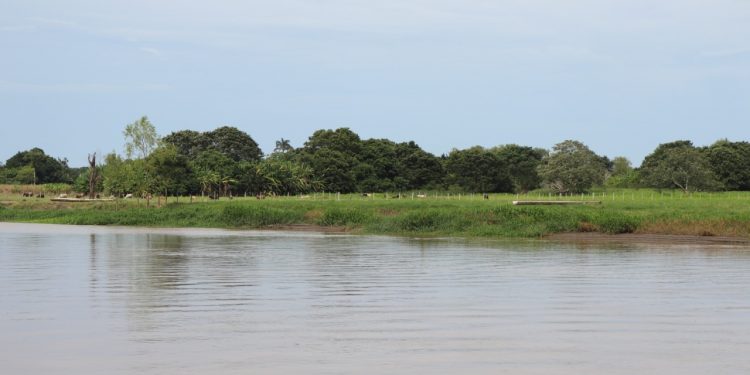 Ministerio de Ambiente impulsa proyectos de saneamiento del río Motagua y protección de ecosistemas
