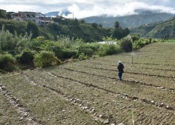 Lisa: Emiten recomendaciones a sector agrícola y pecuario del país