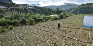 Lisa: Emiten recomendaciones a sector agrícola y pecuario del país