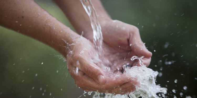 Día Mundial del Agua