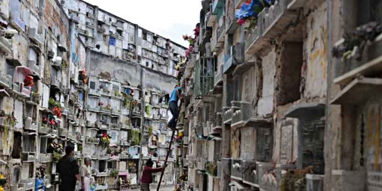 Embajadora de Venezuela insta a seguir velando por la democracia en el país