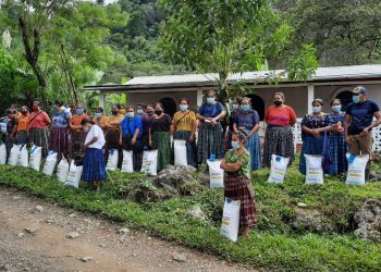 Más de 95 mil agricultores se benefician con semillas y pilones de diferentes especies
