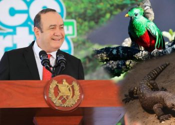 presidente Giammattei conservación de especies