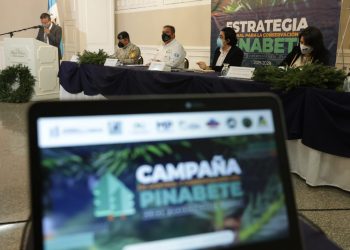 Lanzan campaña para controlar venta de pinabete durante temporada navideña