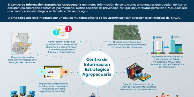 Qué es el Centro de Información Estratégica Agropecuaria que opera en Guatemala