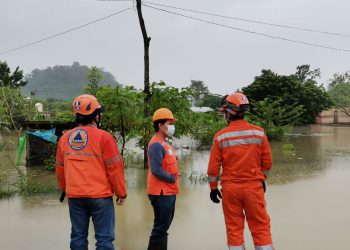 Depresión tropical Eta daña mil 300 hectáreas de cultivos