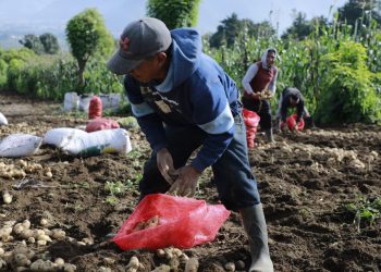 Guatemala contará con Gabinete Específico de Desarrollo Rural Integral