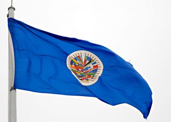 Misión de la OEA arribará mañana a Guatemala
