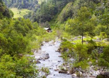 Abren convocatoria para otorgar financiamiento a proyectos de resiliencia en el altiplano