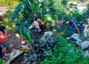 El medio ambiente, una víctima más de las guerras y conflictos armados