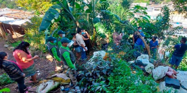 El medio ambiente, una víctima más de las guerras y conflictos armados