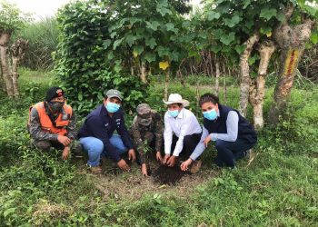 Ministerio de Ambiente promueve reforestación en Escuintla