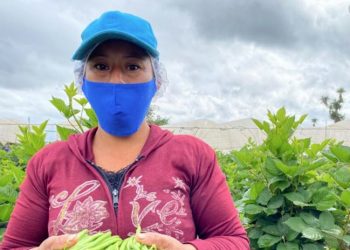 Cómo proteger los productos y cultivos ante las lluvias que se registran