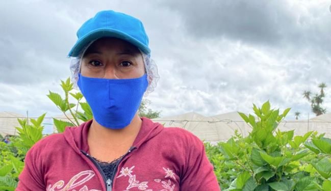 Cómo proteger los productos y cultivos ante las lluvias que se registran