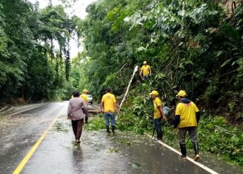 Siete tramos carreteros se encuentran inhabilitados por emergencias viales