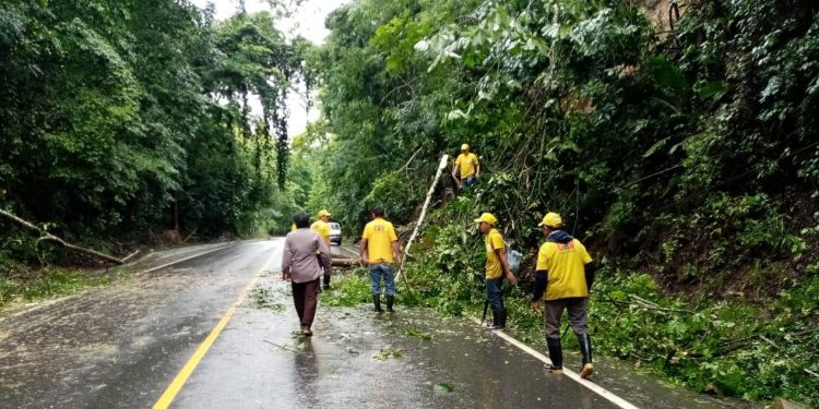 Siete tramos carreteros se encuentran inhabilitados por emergencias viales